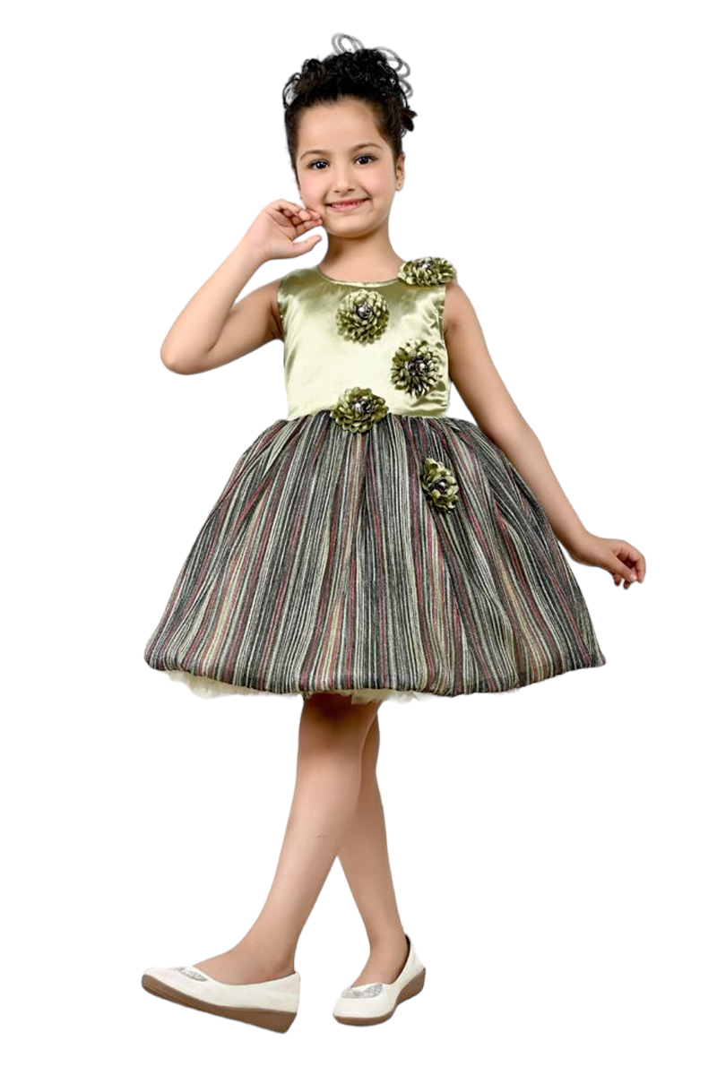 Flowers Detailing Party Frock