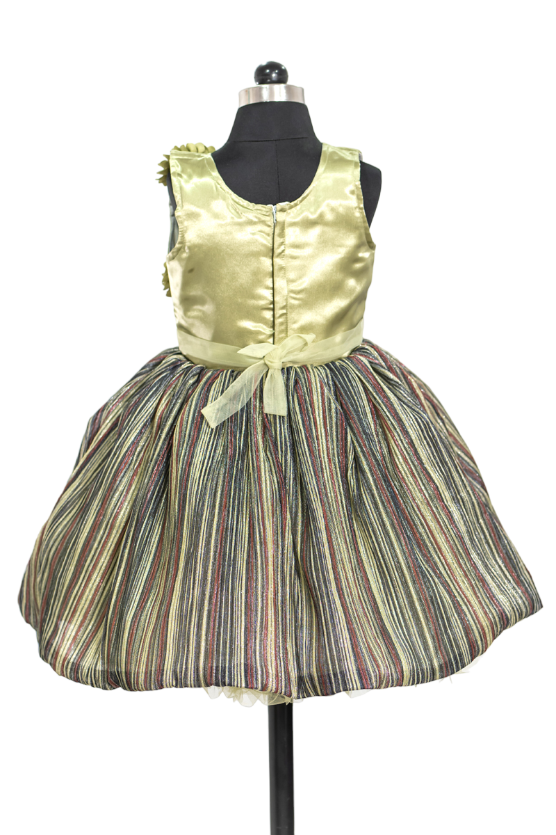 Flowers Detailing Party Frock