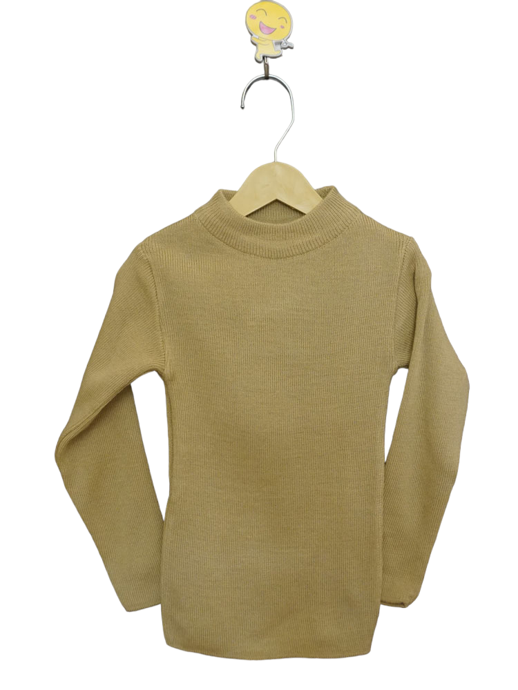 Beige High Neck Sweater/Skiwi (2-5 Years)