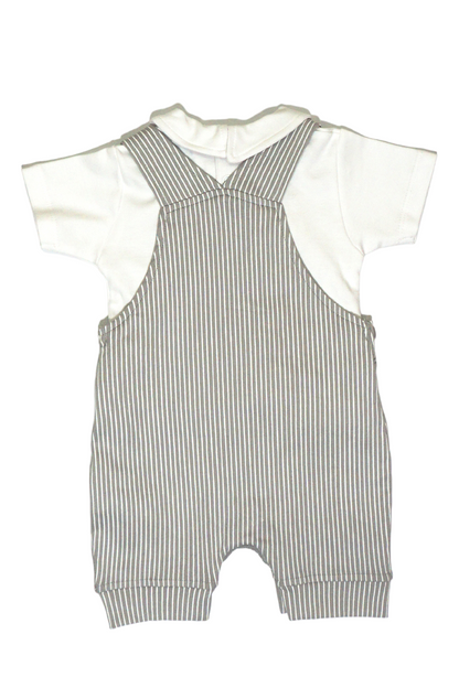 Polo T-shirt & Stripes Pattern Dungaree Set (Grey)